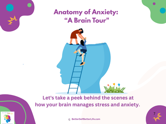Course # 3: Anatomy of Anxiety:  “A Brain Tour"